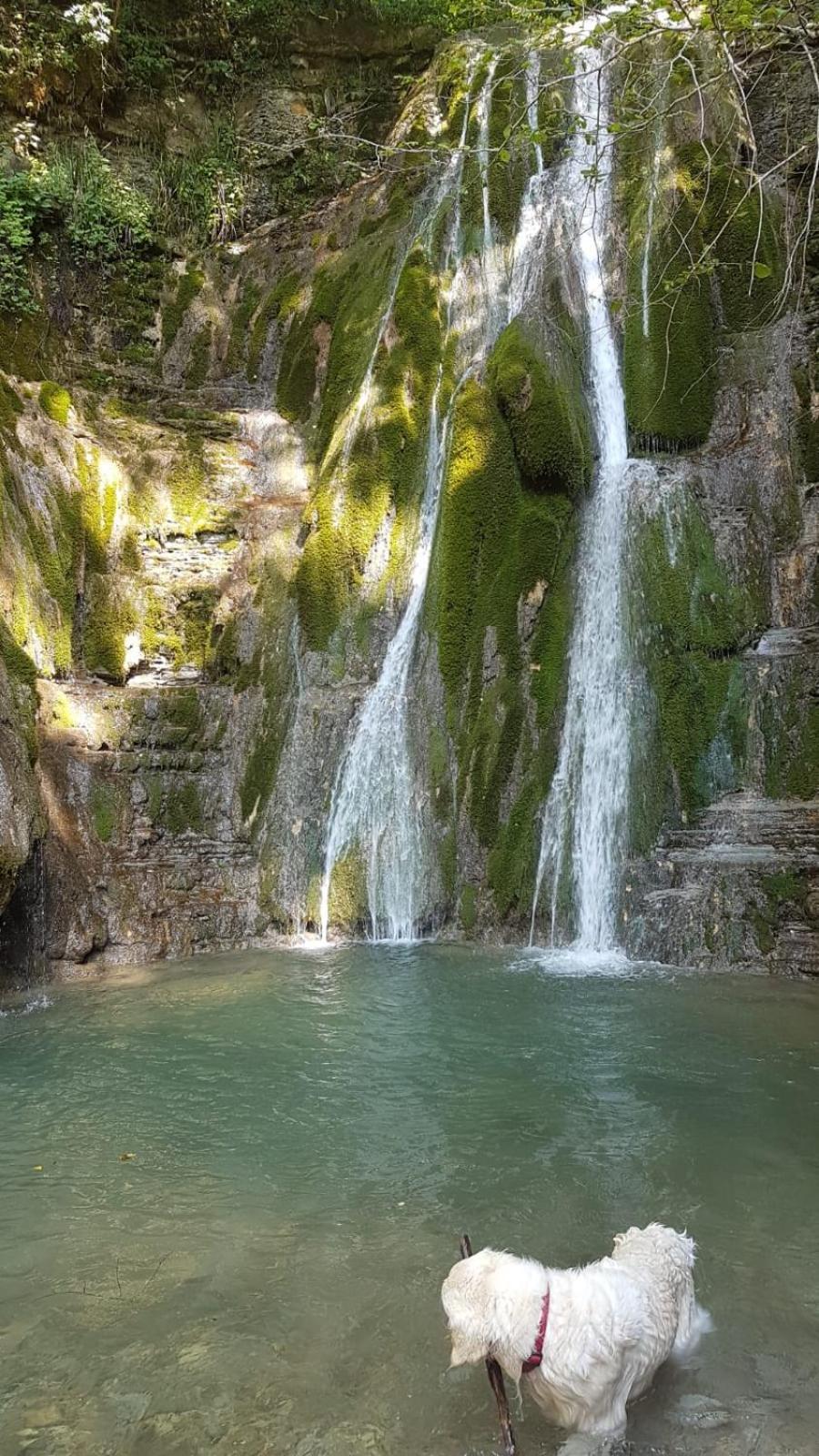 Alloggio Petrigh Canal di Grivo Zewnętrze zdjęcie