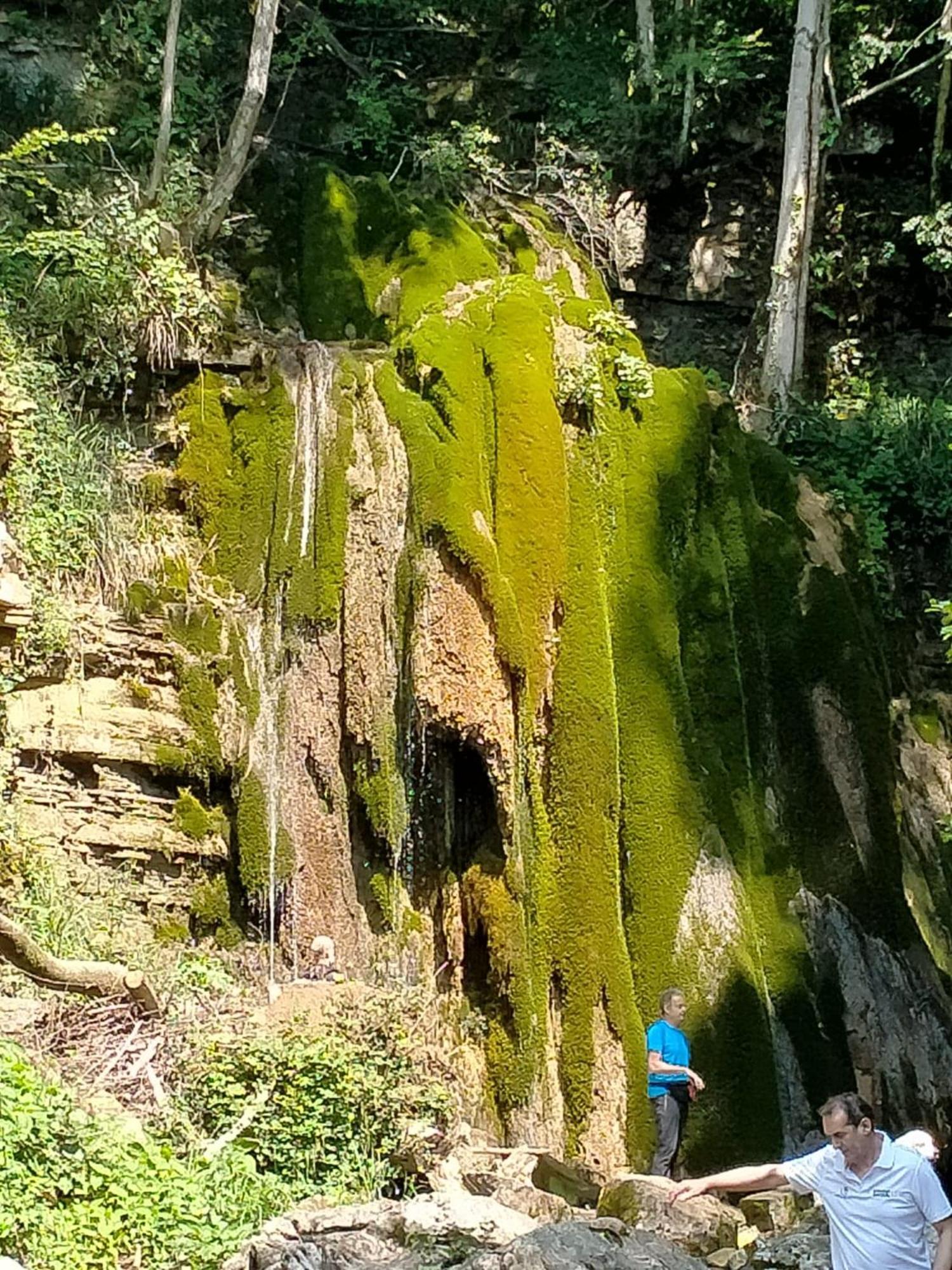 Alloggio Petrigh Canal di Grivo Zewnętrze zdjęcie