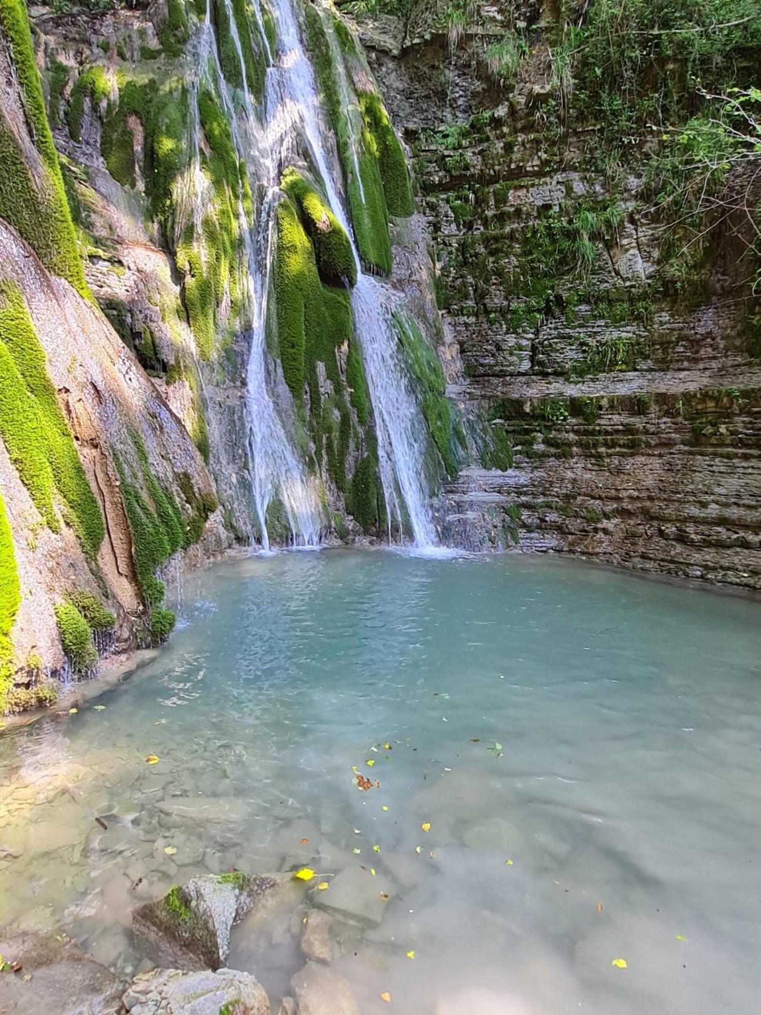 Alloggio Petrigh Canal di Grivo Zewnętrze zdjęcie